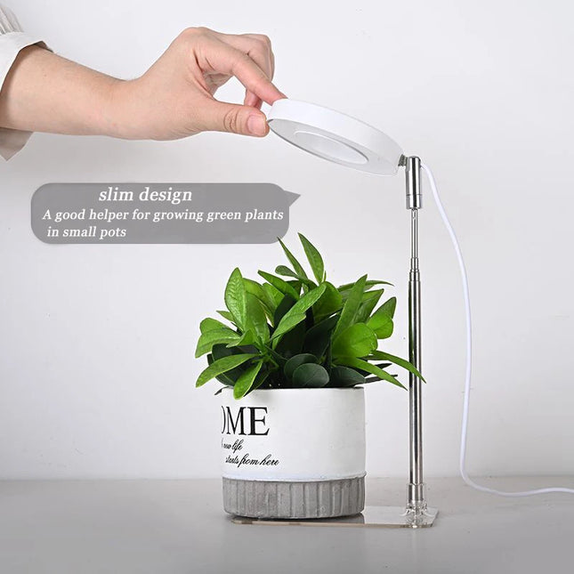 Full Spectrum Indoor Solar LED Growth Light, Four Gear Dimming, Fleshy Viridiplantae, Flower Floor Telescopic Fill Light