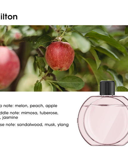 Smart Aromatherapy Machine Mini Plant Essential Oil Diffuser USB Aromatherapy Nebulizer Home Car Deodorization Air Purification